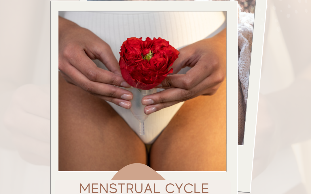 Menstrual Cycle Awareness Workshop