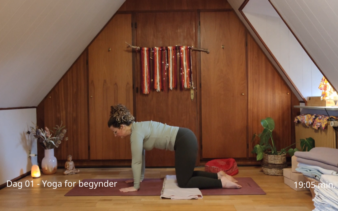 Yoga for begynder