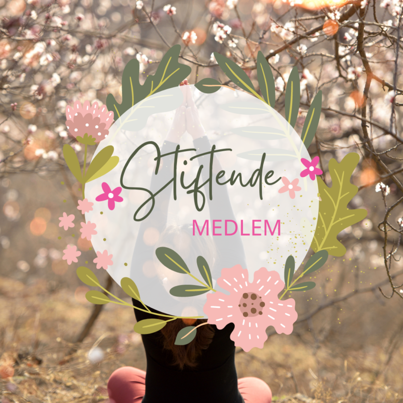 Stiftende Medlem