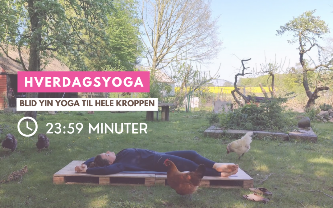 Blid Yin Yoga til hele kroppen