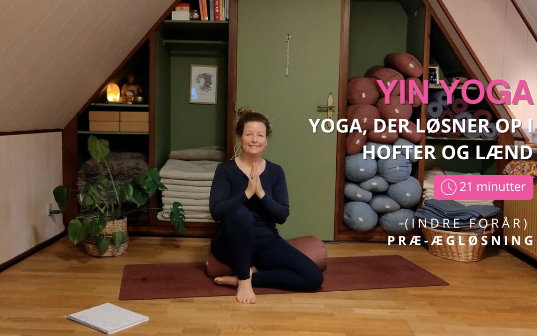 Yin Yoga for Hofter og Lænd