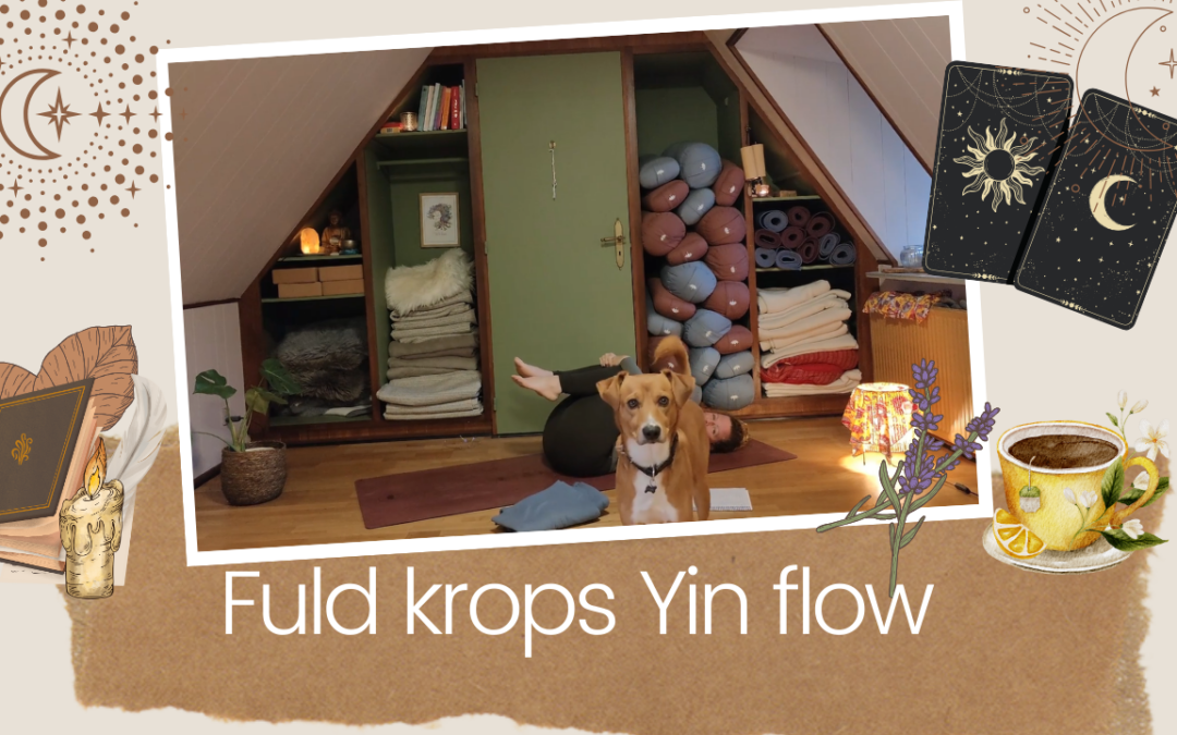 Fuld krops Yin flow