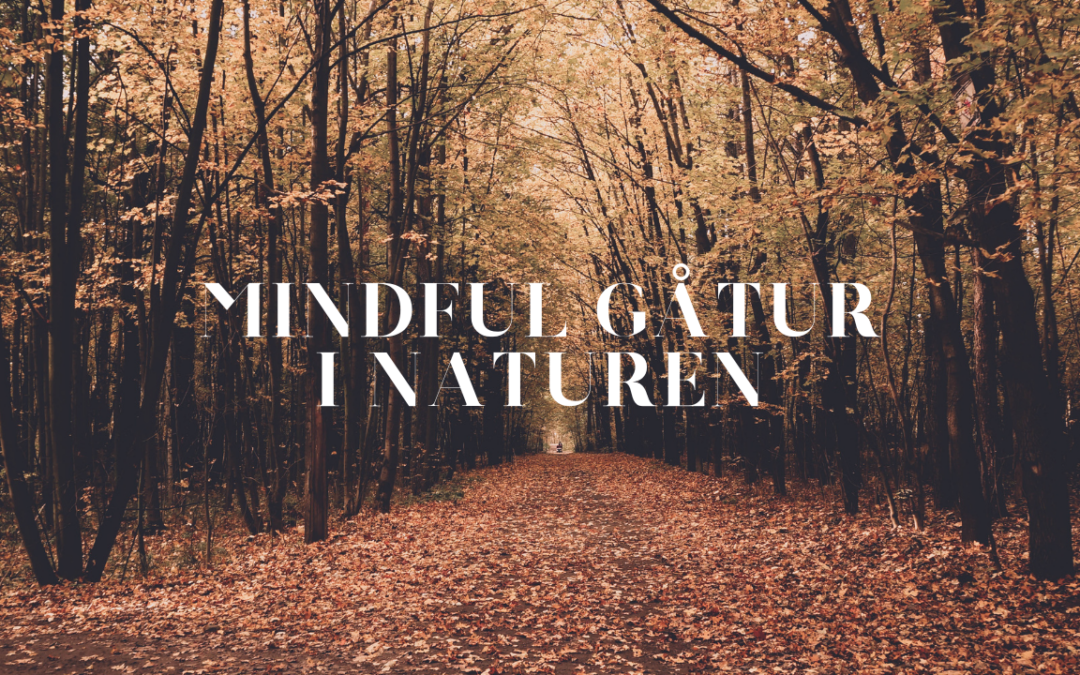 Mindful Gåtur i Naturen