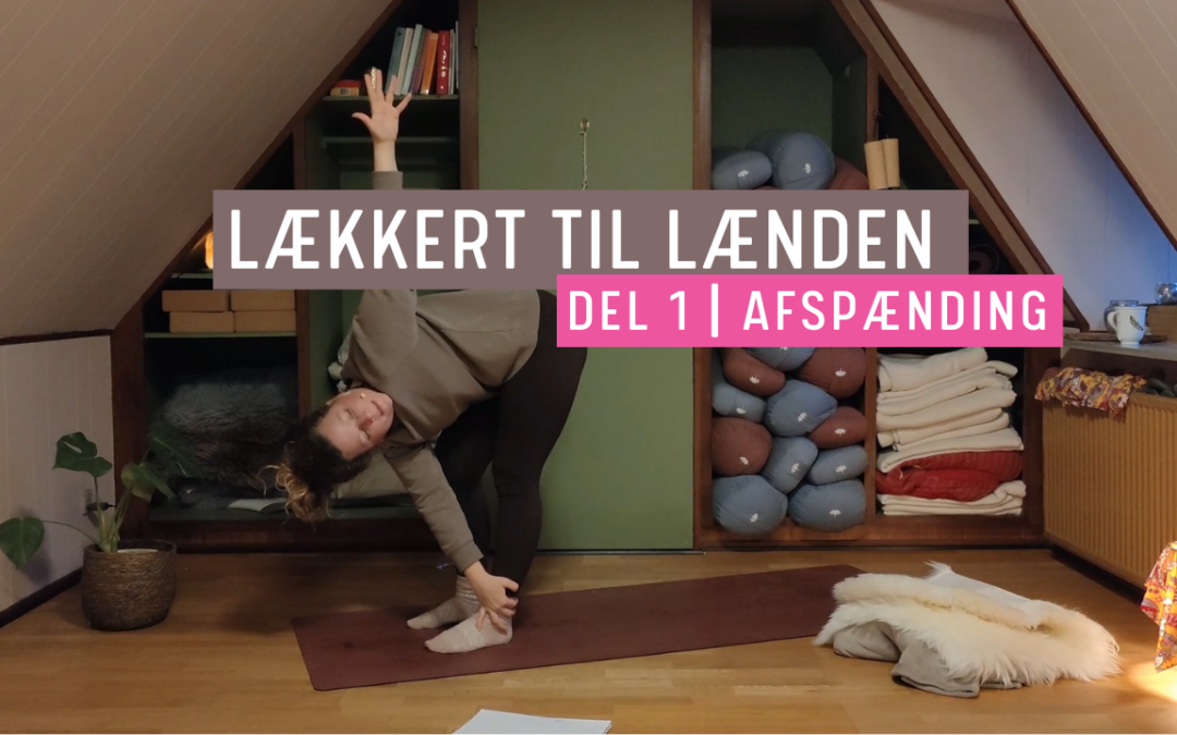 Afspænding til lænden – Del 1