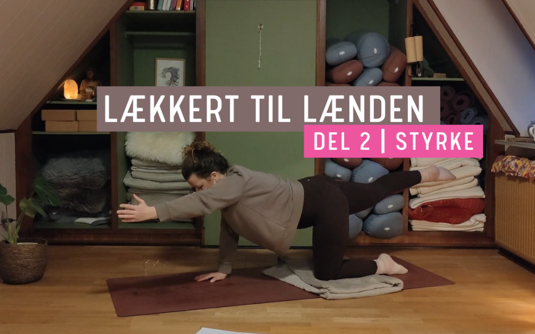 Styrke til lænden – Del 2