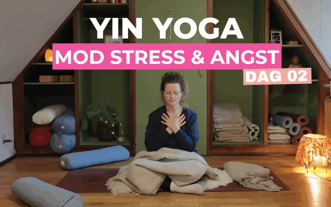 Yin Yoga mod Stress & Angst | Find ro – 16 min