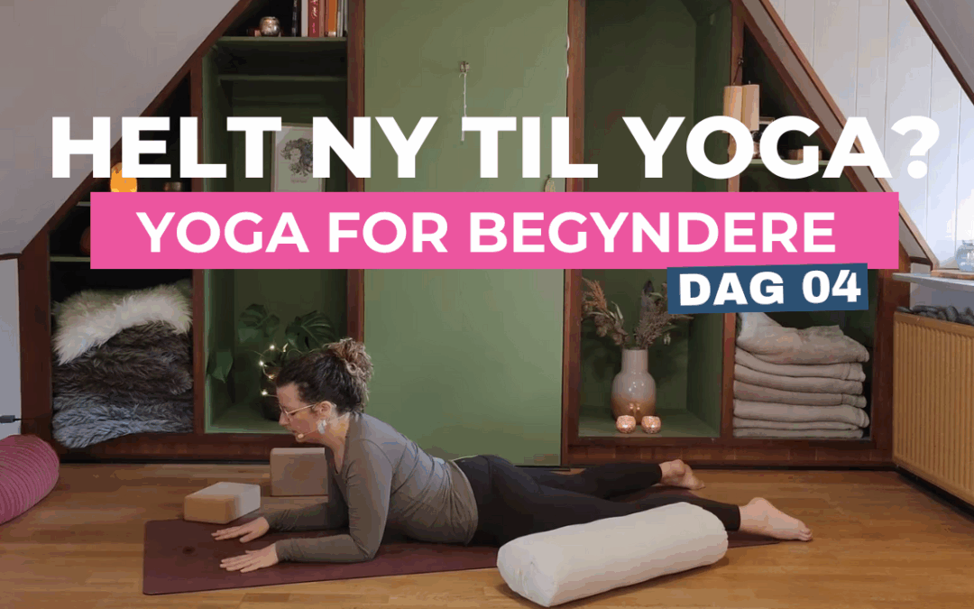 Dag 04 | Yoga for nybegynder ( 17 min )