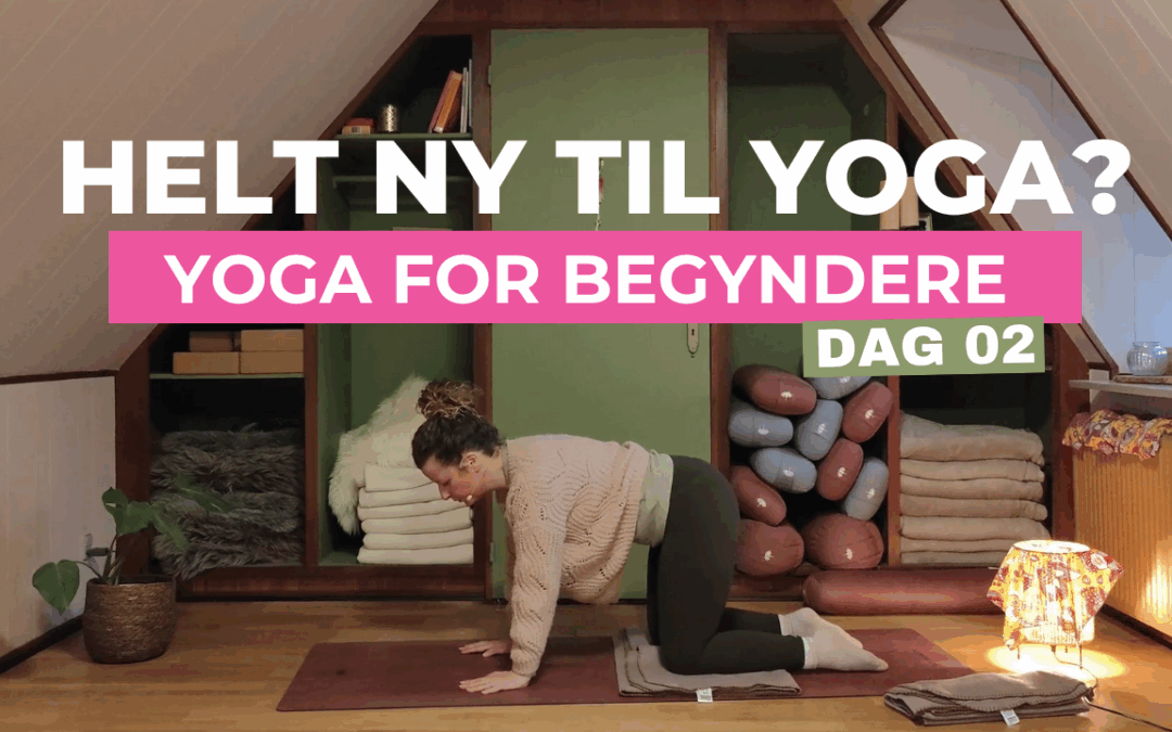 Dag 02 | Yoga for nybegynder ( 7 min)