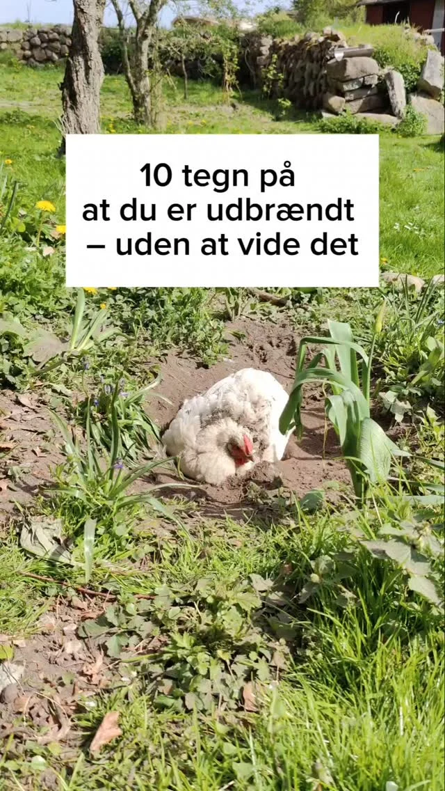 10 tegn på at du er udbrændt – uden at vide det

1. Du overtænker konstant, men har svært ved at fokusere. 🌀
Tankerne kører, men du kan ikke samle dig eller gøre ting færdige som før.

2. Du føler dig følelsesløs eller frakoblet. 🫥
Det, der før tændte dig, føles som en sur pligt.

3. Selv små ting føles uoverskuelige. 📝
Bare det at svare på en besked eller tage en beslutning dræner dig.

4. Din krop sender advarselssignaler. 🚨
Hovedpine, maveproblemer, spændinger eller hyppige sygdomme?

5. Du er afhængig af kaffe, sukker eller vin for at komme igennem dagen. ☕🍫🍷
Du har brug for “noget” bare for at fungere.

6. Din søvn er kaos. 😵‍💫
Du kan ikke falde i søvn – eller sover alt for meget.

7. Du har ikke lyst til at være social. 🚪
Selv en venlig samtale kan føles som et bjerg at bestige.

8. Du kører på autopilot. 🤖
Du gør tingene, men er ikke rigtig til stede.

9. Du faker at have det “fint” – men indeni knækker du. 🎭 Det føles som et nederlag at indrømme, at du har det svært.

10. Du eksploderer over små ting. 😤
Du mister tålmodigheden – ofte overfor dem, du elsker mest.

Kan du genkende dig selv?
Skriv “RO” i kommentaren – så sender jeg dig en gratis, blid yoga-video, der hjælper dig med at finde ro og vende hjem til dig selv igen. 🧘‍♀️✨