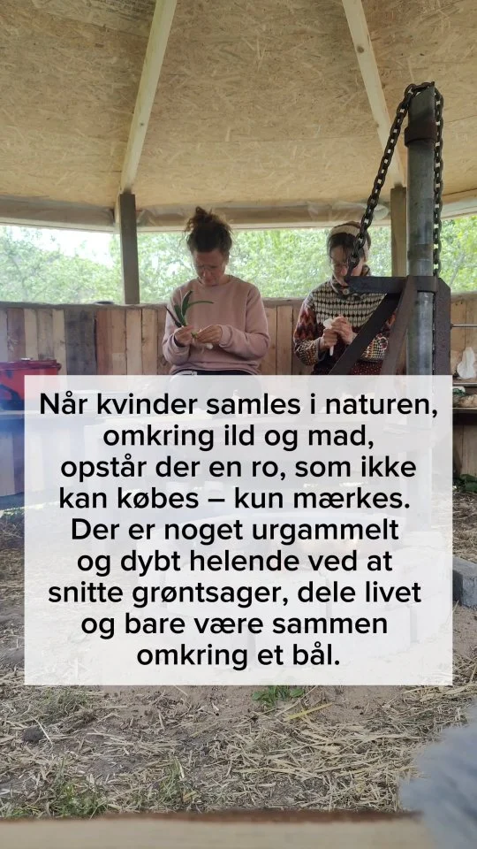 Vi sad der i bålhytten, med ild i midten, og samtaler der føltes som en pause for sjælen.

Intet skulle fikses. Intet skulle præsteres.
Bare os. Naturen. Og roen, der langsomt landede i kroppen.

Det slog mig, hvor lidt vi egentlig har brug for:
Et bål. En veninde. Og følelsen af at være forbundet – til hinanden og naturen.

Mere af det, tak.

Har du også haft sådan en stund for nylig, som bare fyldte dig op indefra?